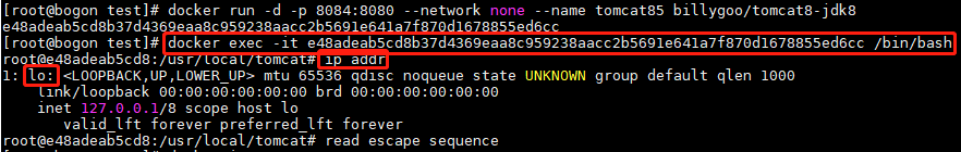 image-20220414200339849